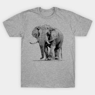 Elephant Bull Taking a Walk | African Wildlife T-Shirt